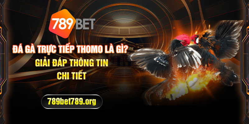 Đá Gà Trực Tiếp Thomo Là Gì? - Giải Đáp Thông Tin Chi Tiết