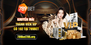 Khuyến mãi thành viên vip có 102 tại 789bet