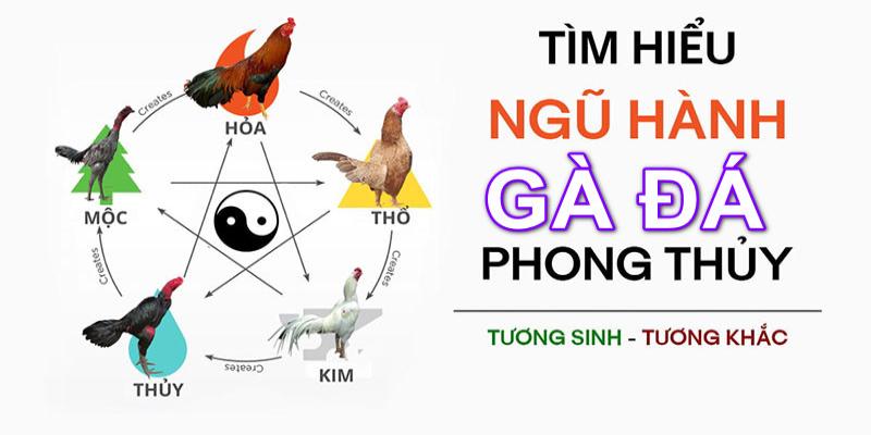 Màu mạng đá gà