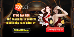 Lý do bạn nên trở thành đại lý 789bet? Hướng dẫn cách đăng ký